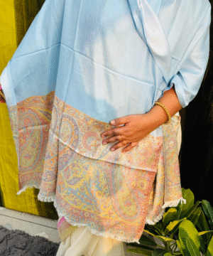 Powder Blue Semi Pashmina Shawl with Pastel Paisley Border