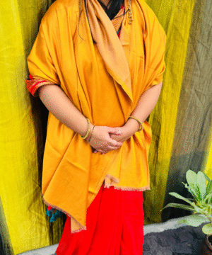 Mustard Gold Solid Semi Pashmina Shawl